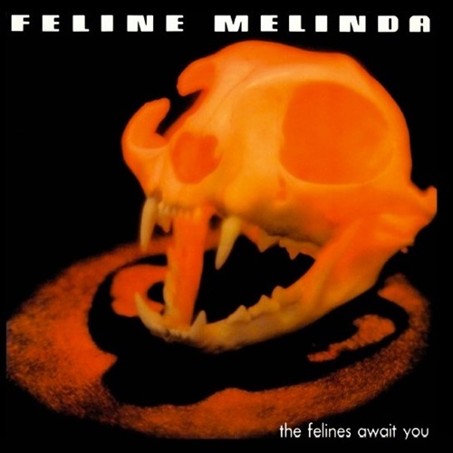 Feline Melinda – “The Felines Await You” (1988) raccontato da Rob Irbiz&nbsp;Gallmetzer
