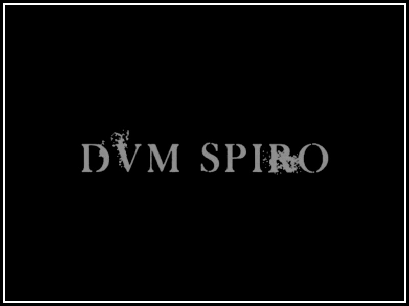 Dvm Spiro – L’official audio del nuovo singolo “Preludio”