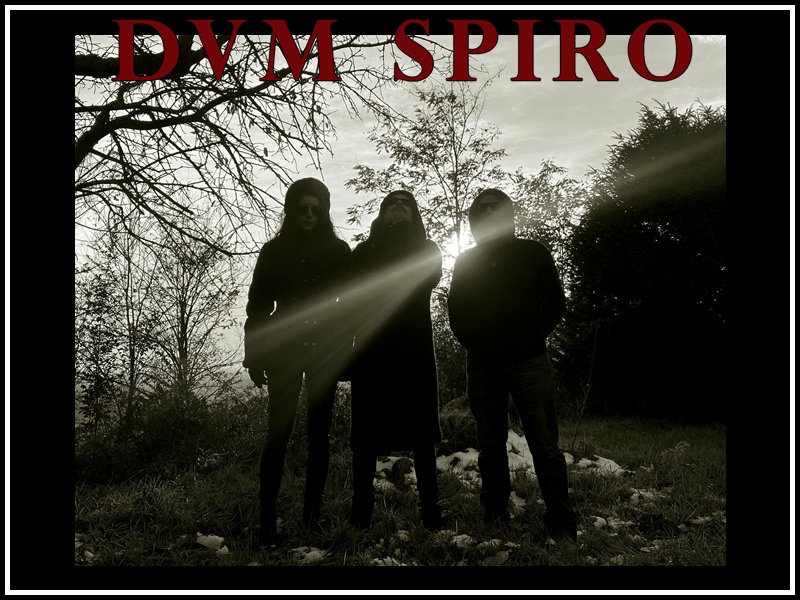 Dvm Spiro –&nbsp;Grave