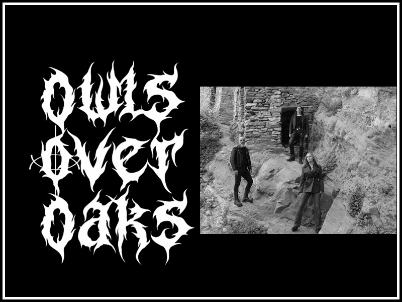 Owls Over Oaks– Quick Five Flash Interview (Special For&nbsp;“O.O.O.”)