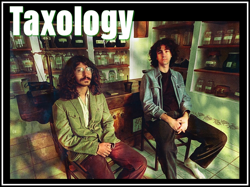 Taxology – Quick Five Interview (Special for “A Deep Dive In The Colourful And Mysterious Garden Of Mr.&nbsp;Taxology”)